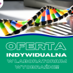 Oferta dla klientów indywidualnych!