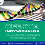 Oferta dla klientów indywidualnych!